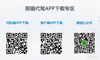 就在那貓代駕 全場景專業(yè)代駕服務(wù)專家
