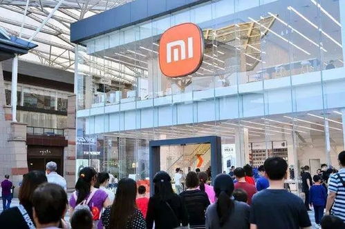 Q3小米未能逆天改命 代駕服務(wù)背后的深層思考